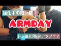 おじさんのフィジーク挑戦記#79 トレ前トレ後で腕周り何cmパンプアップした?