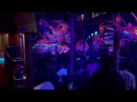 Dark Septum live @Psyonara Events 19.03.2022 💜🎵😈