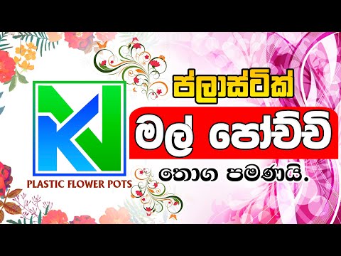 August Stock 0377922420