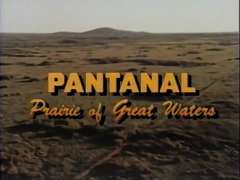 Pantanal: Prairie of Great Waters (1986)