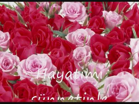 BEN SENI...Celaleddin Ada