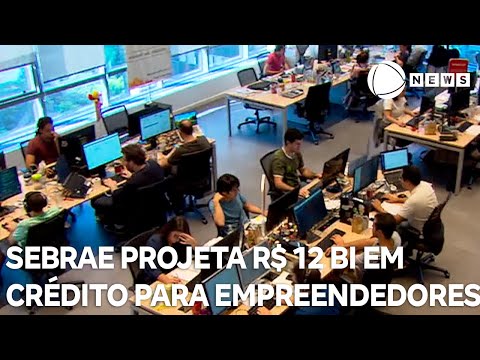Sebrae projeta R$ 12 bilhões em crédito para empreendedores