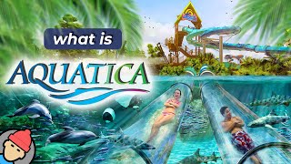 Aquatica Orlando 2023 Overview
