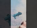 Pass Or Fail Car Crash Video Pass Or Fail Carcrashes Games Gaming Crash Beamngdrive