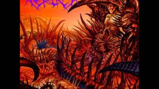 Nerlich - Substantial Alteration