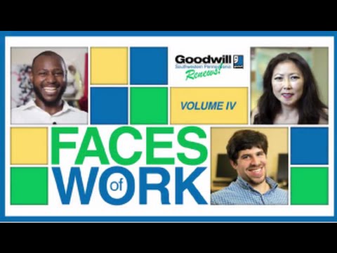 "Faces of Work" - Volume IV - 2016