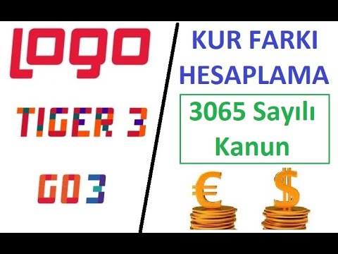 EXCHANGE RATE DIFFERENCE CALCULATION IN LOGO - EXCHANGE RATE DIFFERENCE INVOICE (Law No. 3065)