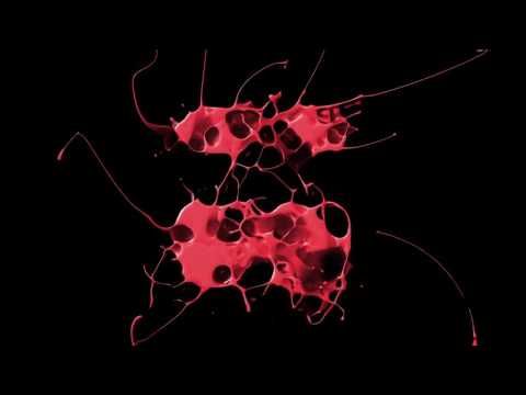 José Ogalla & Andrea Love - In the Rhythm (Nineteen69 Club Mix)