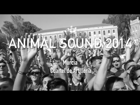 ANIMAL SOUND MURCIA 2014 (NEW WORLD SOUND - DUBVISION - YVESV)  AFTER FAN