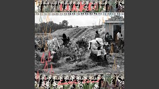 Talking Talking Nightwalking