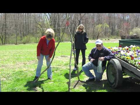 Kathy and John explain the meaning of "Hill of Beans."