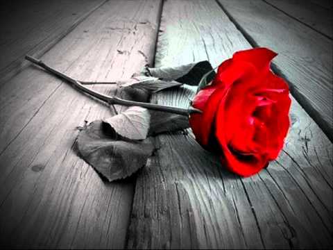 Kreck-Szebbnek láttam