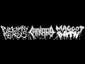Pulmonary Fibrosis Chikara Maggot Bath 3 Way Split 2018 Full Album HQ Goregrind Crust Sludgecore