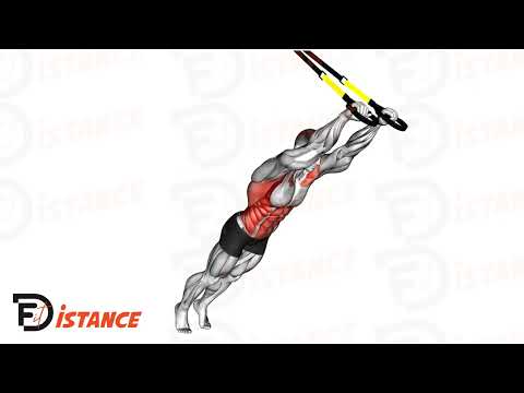 Exercice Retombée au TRX (Extension des abdos)