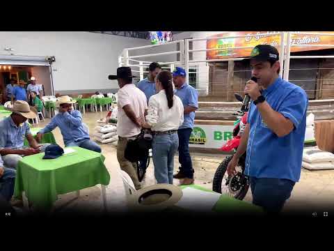 BRASIL LEILÕES - SÃO LUIS DE MONTES BELOS - GO -16/09/2026