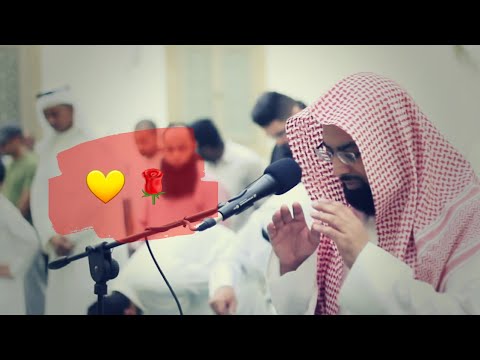 Qetëso zemrën me Kuran - Recitim i pa dëgjuar nga Nasir el-Kitami