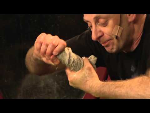 Das Leben nehmen - Alf Poier