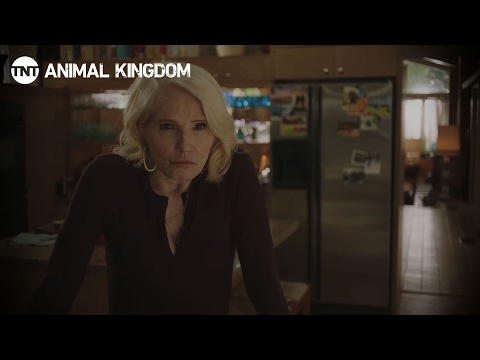 Animal Kingdom Season 2 (Teaser)