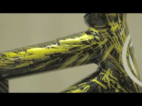 MacNeil Truth Complete