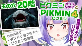 【王の穴20階/夜探索】無犠牲アイテムなしでラスボス＆夜探索【ピクミン４】