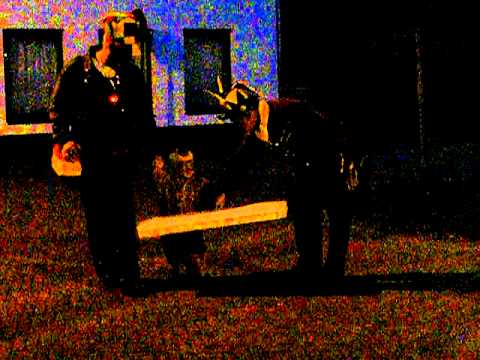 De sjeive sjöt Obbeeg Vasteloavend 2011