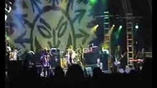 Levellers - Dog Train - Beautiful Days 2007