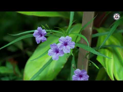 New batches embarking on an unforgettable journey | Welcome to the Alliance family