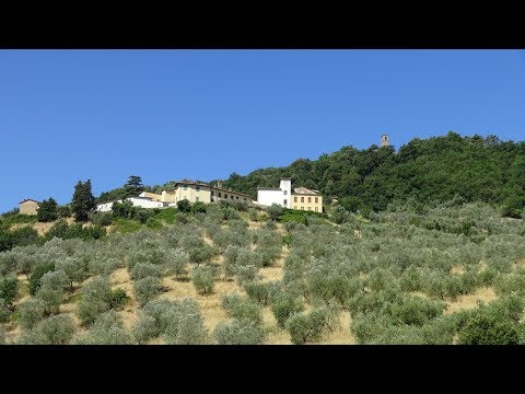 Escursione 4K - Anello di Montalgeto - Trekking in Toscana