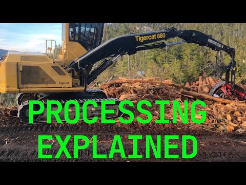 The BASICS of Processing Logs! Tigercat 880 with Waratah 624C.
