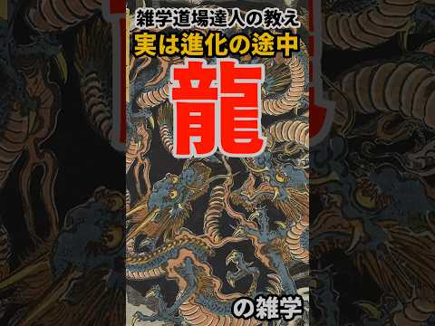 龍の進化前と進化後に関する面白い雑学　#shorts #雑学