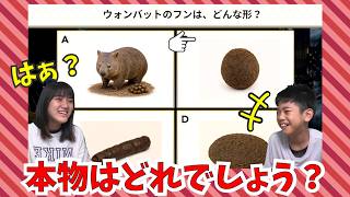 あちゃぴとぎんで勝負！負けたらお皿洗いおねがいします！ 99％が見抜けない常識バトル