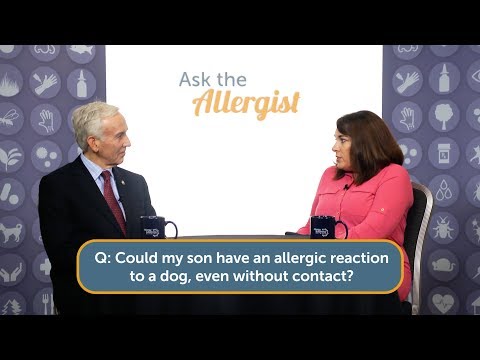 Ask the Allergist: When Pet Allergy Is Severe…
