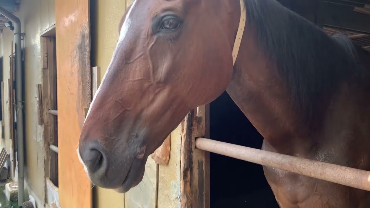 カジカジも好きなようです