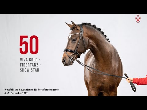 Westfälische Hauptkörung 2022 Reitpferde: Kat.Nr. 50 Viva Gold  -  Fidertanz  -  Show Star