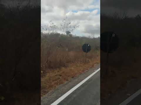 Pelas estradas de São Gonçalo do Amarante-CE indo pra Paraipaba-CE