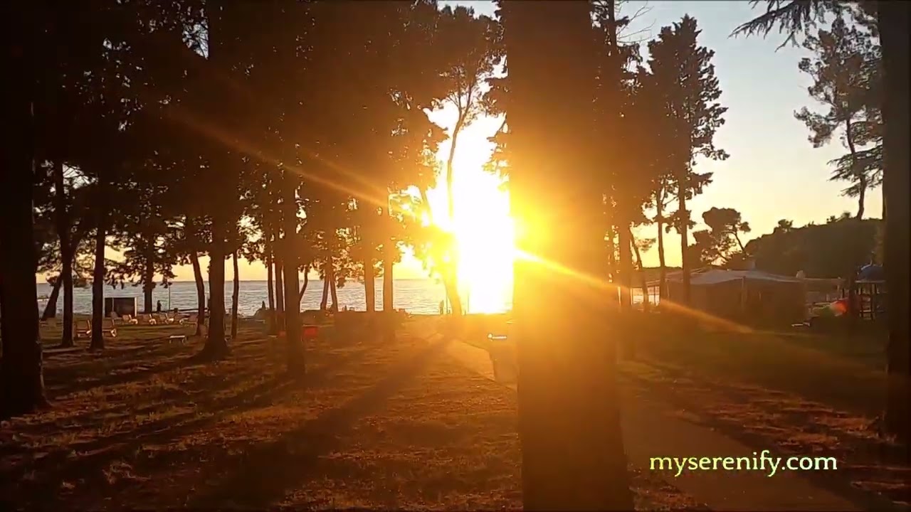 Meditation for ADHD: Techniques and Benefits