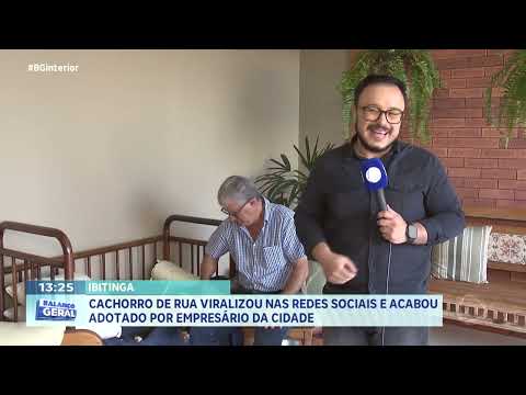 Ibitinga: cachorro de rua viralizou nas redes socais e acabou adotado por empresário da cidade