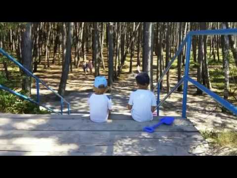 Domki  latonafali  Dąbki