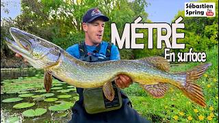This LITTLE lure is a TREAT for BIG fish in the fall!!!