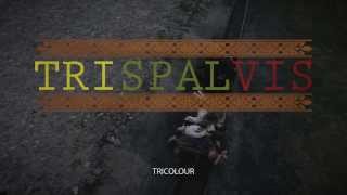 V.V.Landsbergio documentary film "Trispalvis" (ENG)