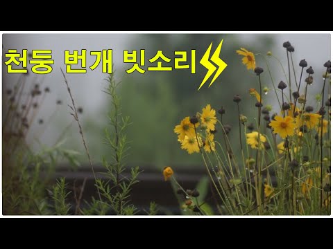 천둥 번개 빗소리 - 1시간 깊은 수면  불면증 개선 잠 잘오는 빗소리