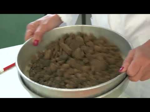 AGRO PREPORUKA - Prva prihrana pšenice