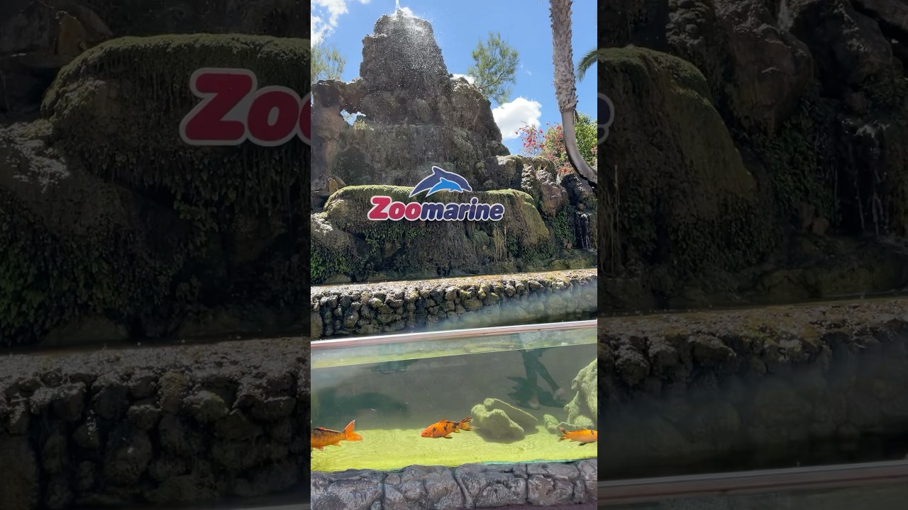 YouTube Short thumbnail