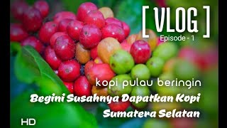 preview picture of video 'Trip 'Salah Satu' Kopi Semende - Buah Tangan Asian Games 2018 !! Pulau Beringin, OKU Selatan'