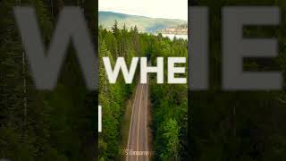 See You Again 💚 Boyce Avenue feat. Bea Miller