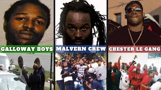 Toronto’s Deadliest Gangs: Malvern Crew, Galloway Boys, Chester Le Crew