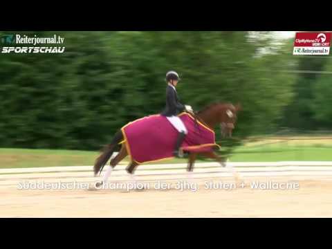 Reiterjournal Sportschau: Schwetzingen - Leinfelden-Echterdingen - Nördlingen - CHIO Aachen uvm.