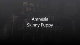 Skinny Puppy-Amnesia (with lyrics)