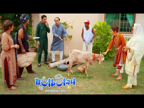 Bulbulay Season 2 Episode 158 | Ayesha Omar | Nabeel