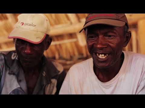 ICF & Blue Ventures: Blue Forests